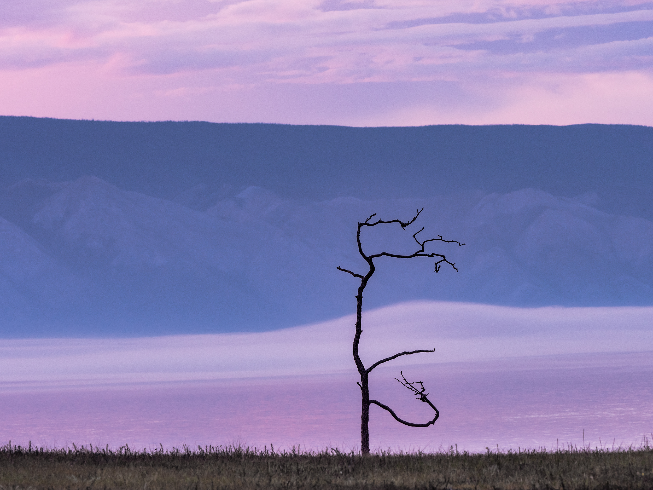 Nature gallery image 2